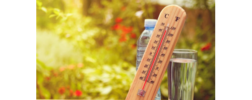 Как да се предпазим от жегите през лятото?