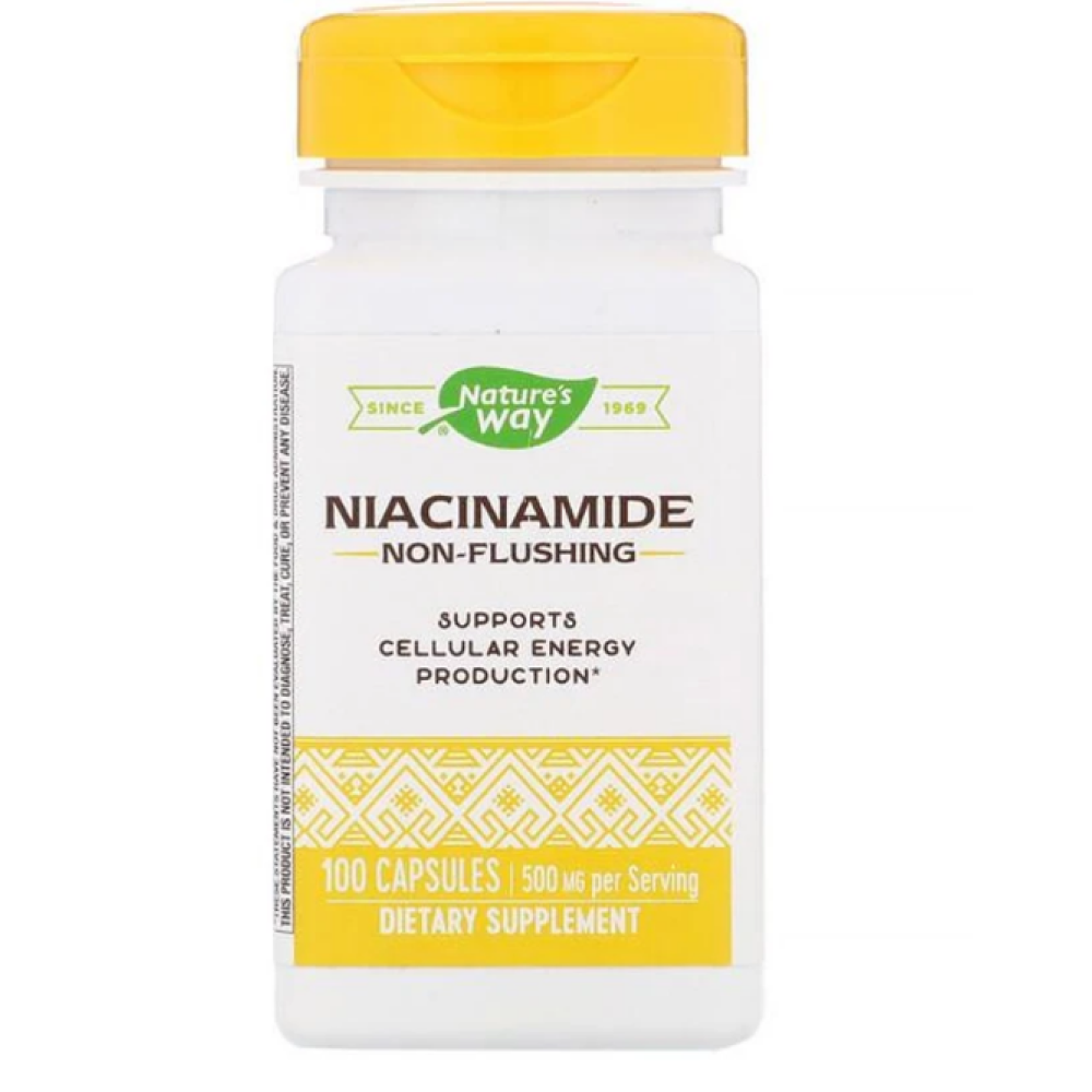 Nature’s Way Ниацинамид за добро храносмилане 500 мг x100 капсули - Mозък и нервна система