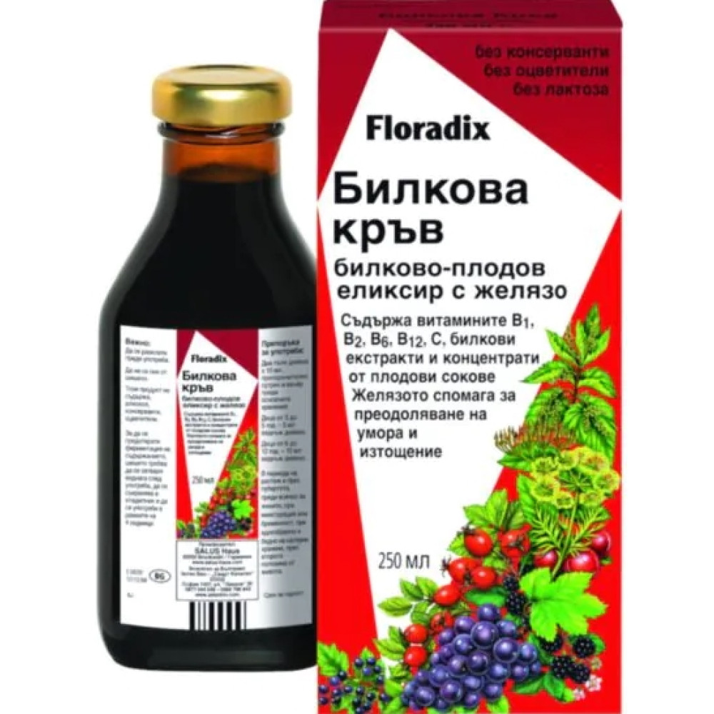 Floradix herbal blood with iron 250ml / Флорадикс билкова кръв с желязо 250мл - Имунитет Floradix herbal blood with iron 250ml / Флорадикс билкова кръв с желязо 250мл - Имунитет