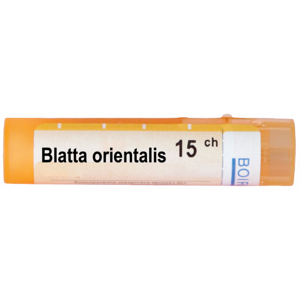 Блата ориенталис 15 CH / Blatta orientalis 15 CH - Монопрепарати