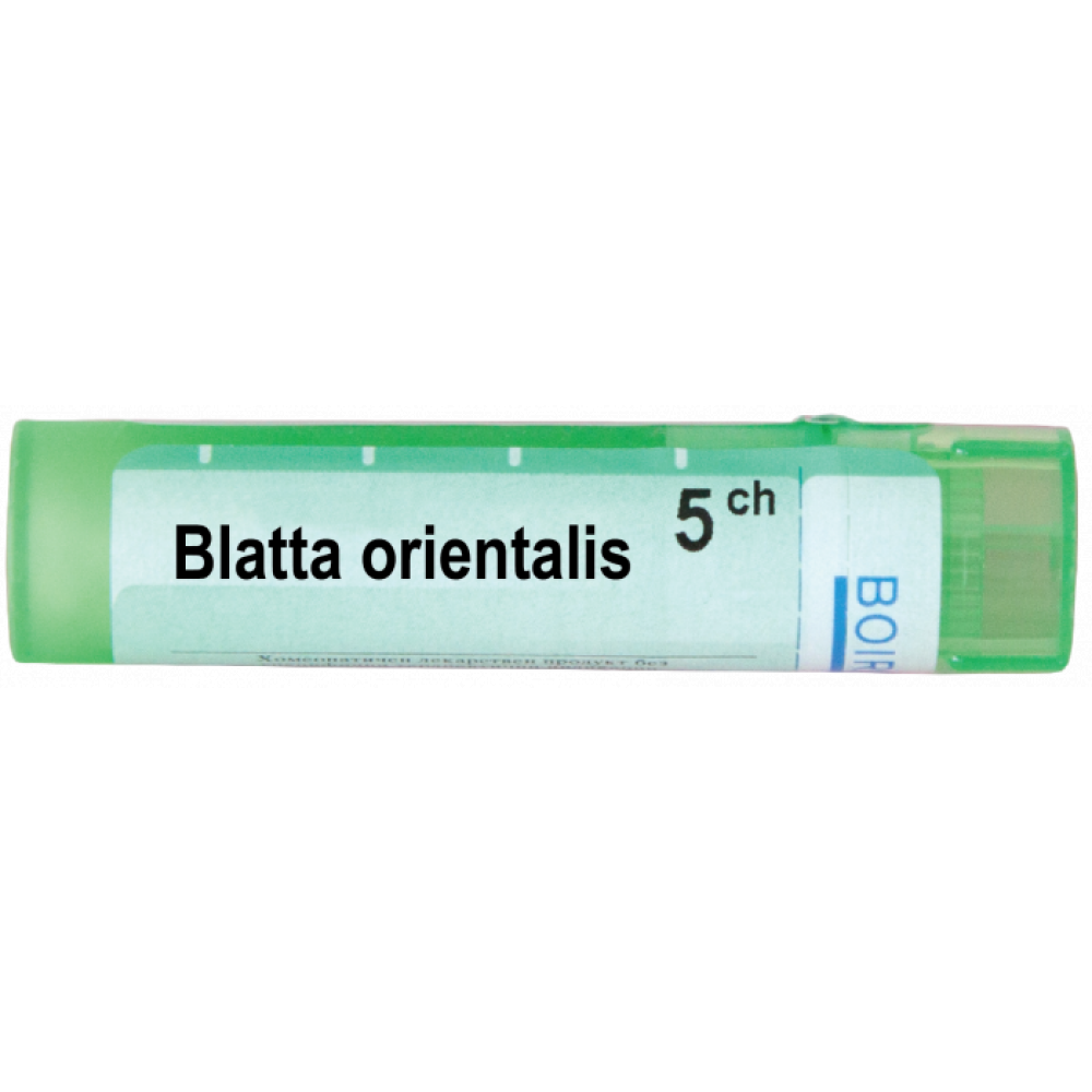 Блата ориенталис 5 CH / Blatta orientalis 5 CH - Монопрепарати
