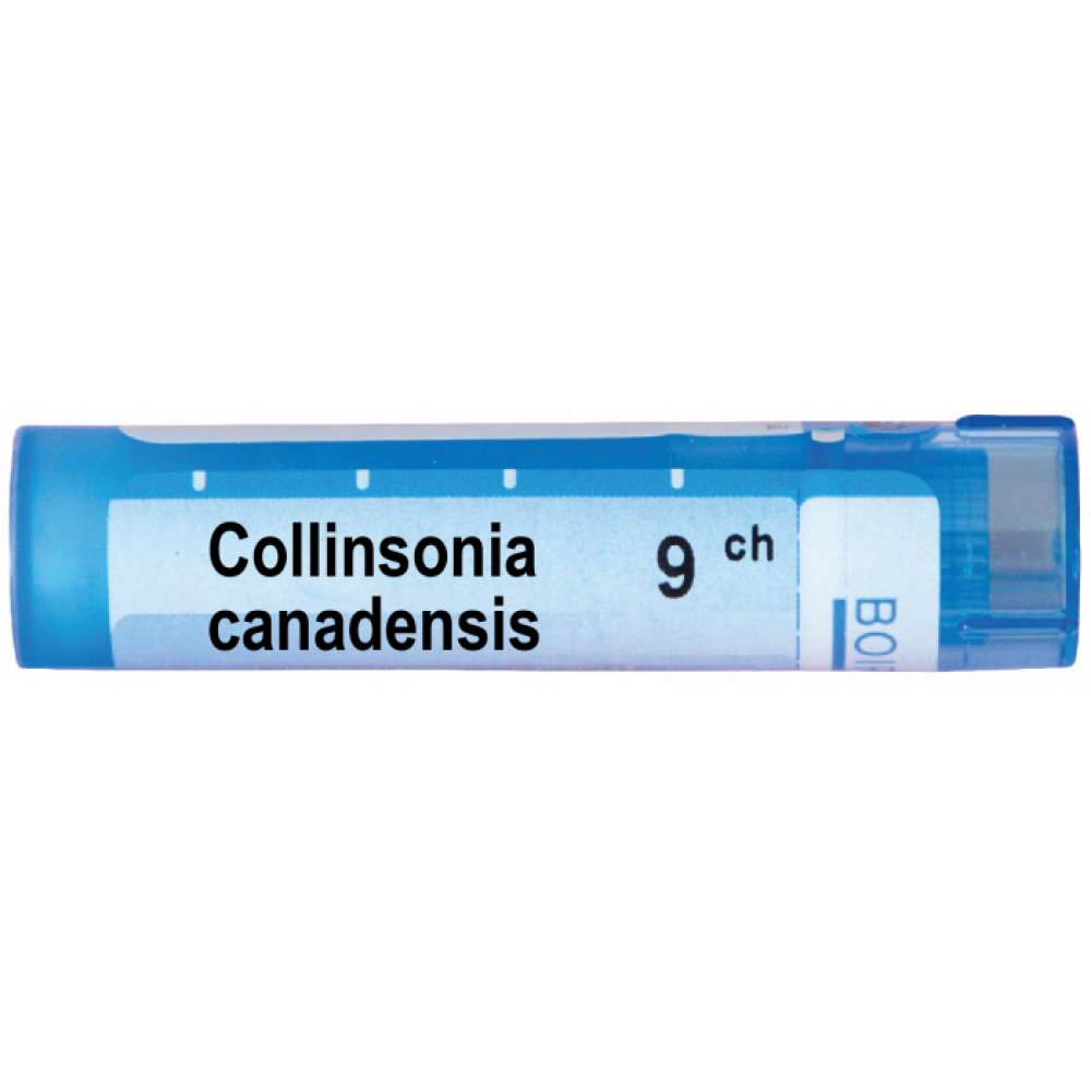 Колинсония канаденсис 9 CH / Collinsonia canadensis 9 ch - Монопрепарати Колинсония канаденсис 9 CH / Collinsonia canadensis 9 ch - Монопрепарати