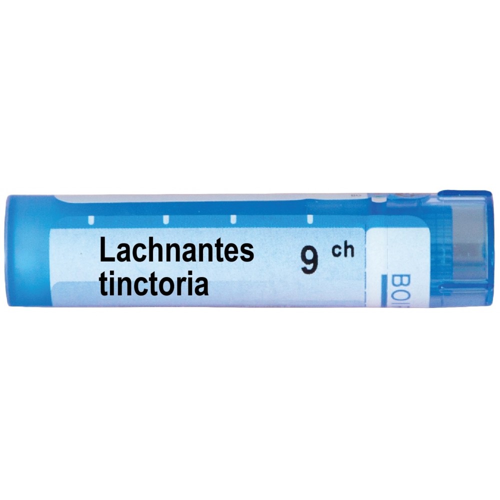 Лахнантес тинкториа 9 CH / Lachnanthes tinctoria 9 CH - Монопрепарати
