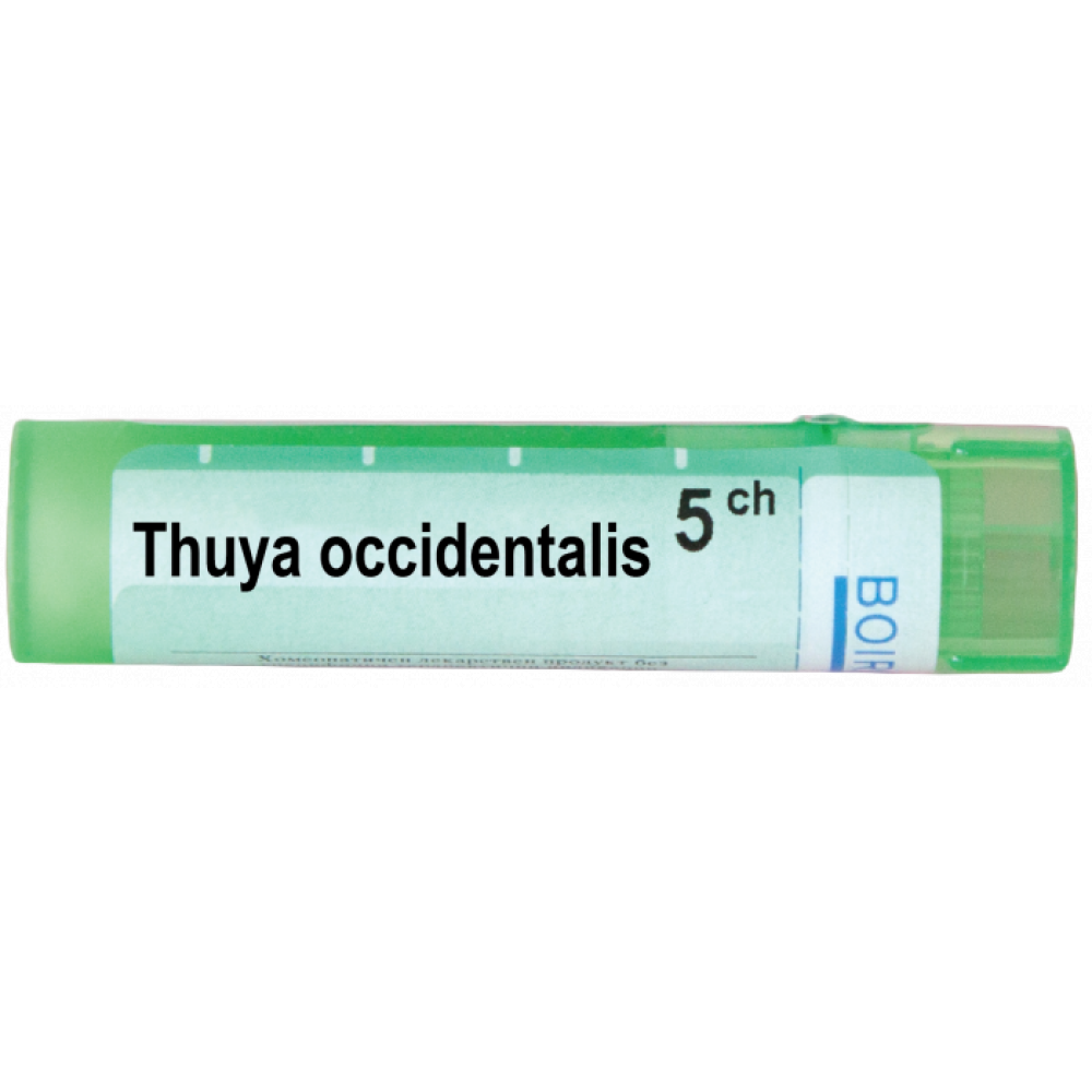 Thuya occidentalis 5 CH / Туйя оциденталис 5 CH - Монопрепарати