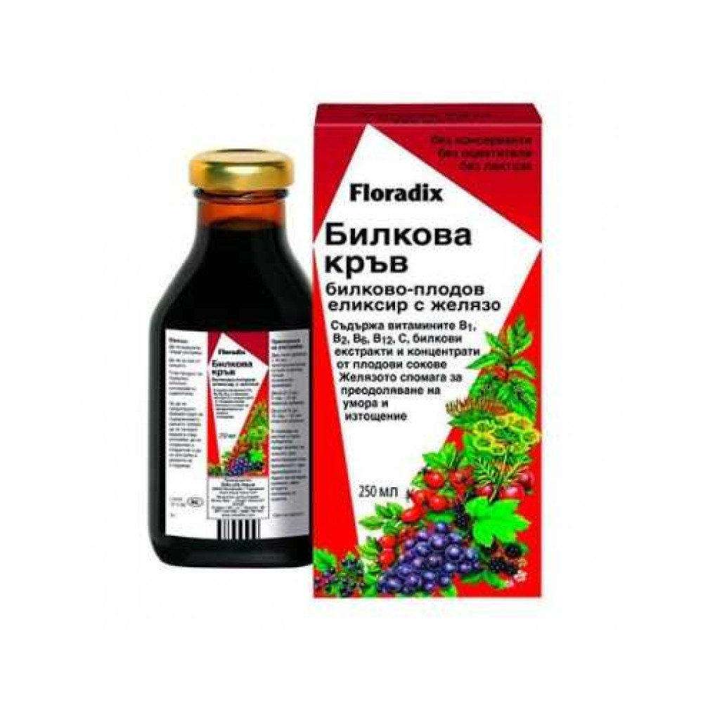 Floradix herbal blood with iron 250ml / Флорадикс билкова кръв с желязо 250мл - Имунитет