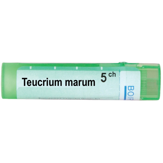 ТЕУКРИУМ МАРУМ 5 CH BOIRON