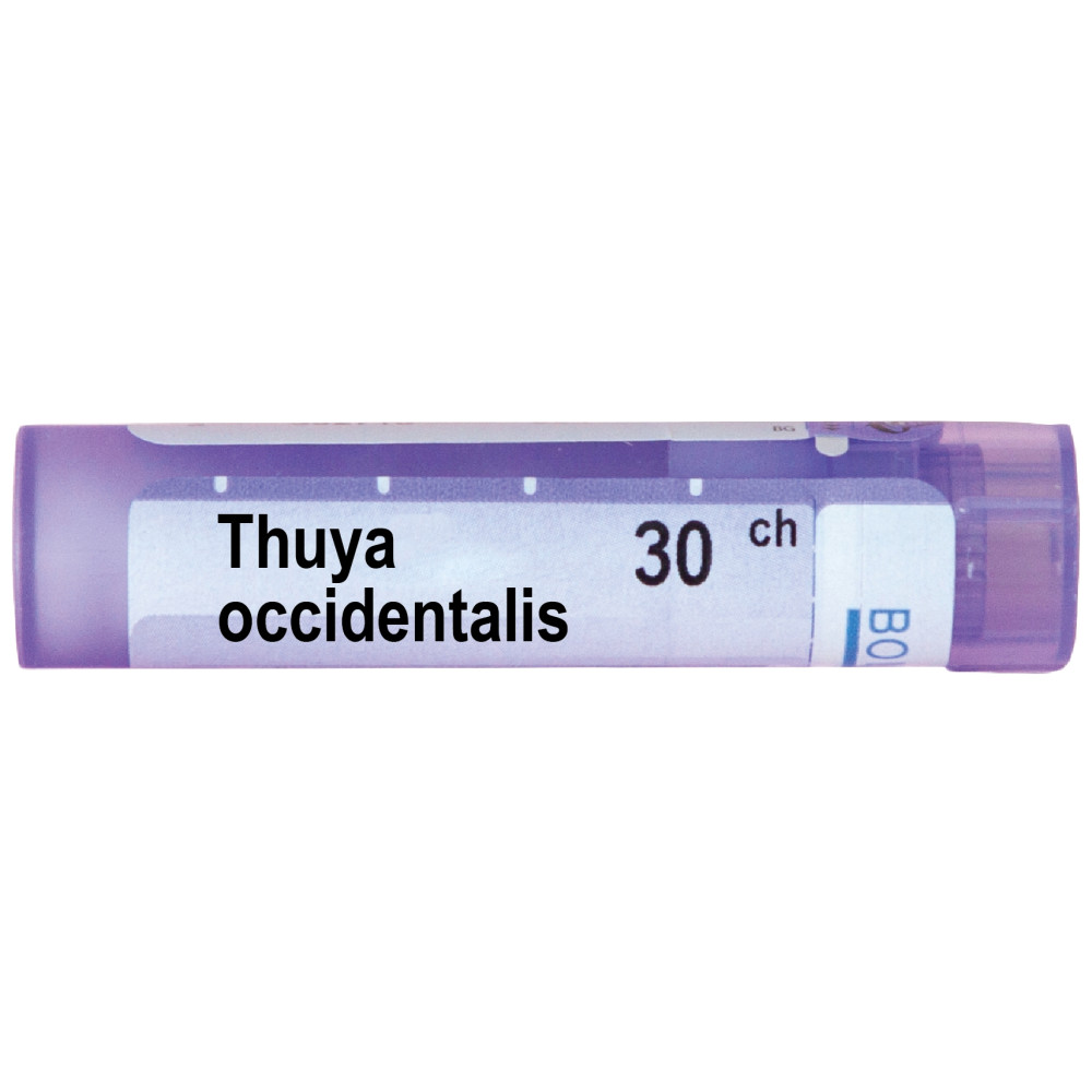 Thuya occidentalis 30 CH / Туйя оциденталис 30 CH - Монопрепарати