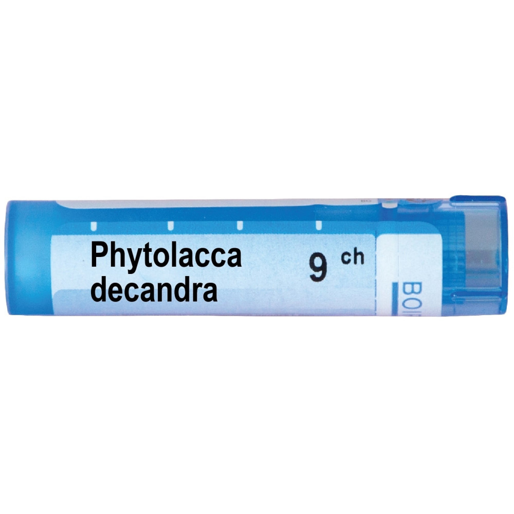 Фитолака декандра 9 CH / Phytolacca decandra 9 CH - Монопрепарати