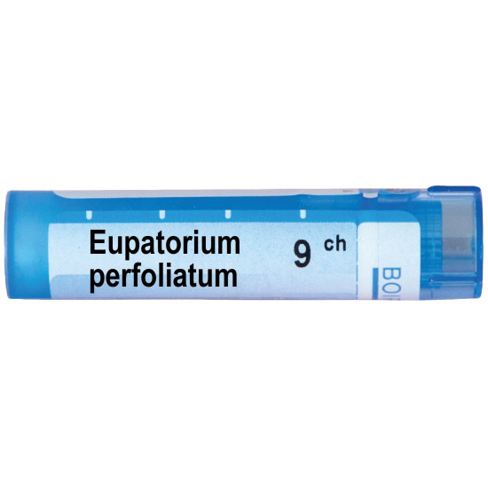 ЕУПАТОРИУМ ПЕРФОЛИАТУМ 9CH BOIRON